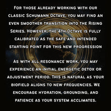 Load image into Gallery viewer, **NEW** OCTAVE -- The Fourth Gate (Silicone Series)