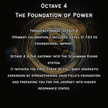Load image into Gallery viewer, **NEW** OCTAVE — The Fourth Gate
