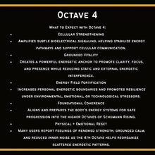 Load image into Gallery viewer, **NEW** OCTAVE — The Fourth Gate
