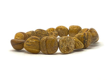 Load image into Gallery viewer, Mineral Chunk Bracelet — Petrified Wood
