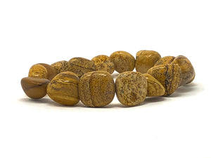 Mineral Chunk Bracelet — Petrified Wood